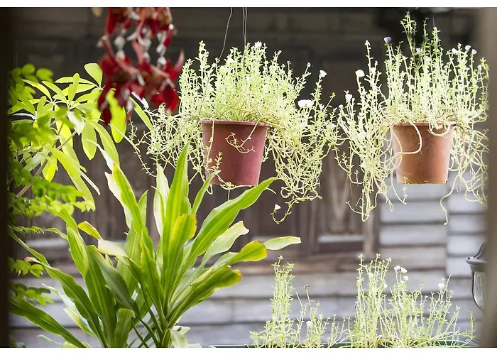 Baan Chantra Affittacamere Bangkok